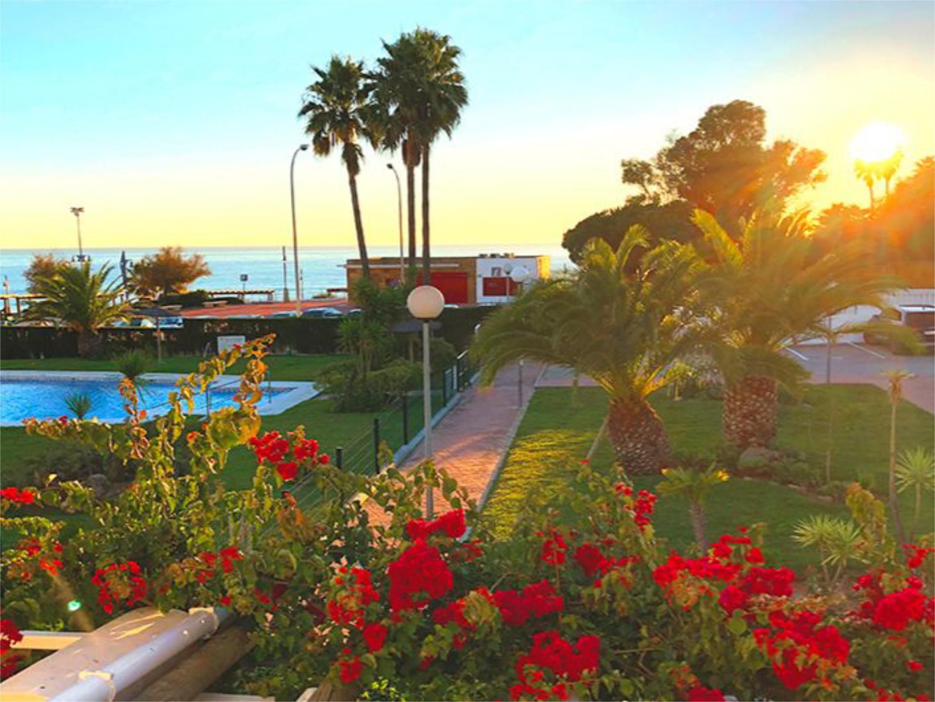 Apartment to rent in Calle Asunción, 3, La Barrosa