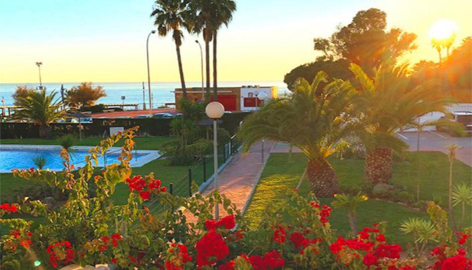 Apartament de lloguer a Calle Asunción, 3, La Barrosa, Cádiz - imatge 1 Foto 1 de Apartament de lloguer a Calle Asunción, 3, La Barrosa, Cádiz