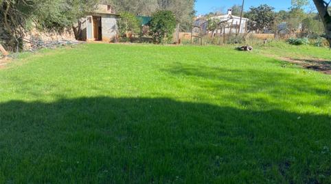 Foto 3 de Piso de alquiler en Lugar Poligono 18, 82, Sencelles, Illes Balears