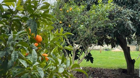 Foto 4 de Piso de alquiler en Lugar Poligono 18, 82, Sencelles, Illes Balears