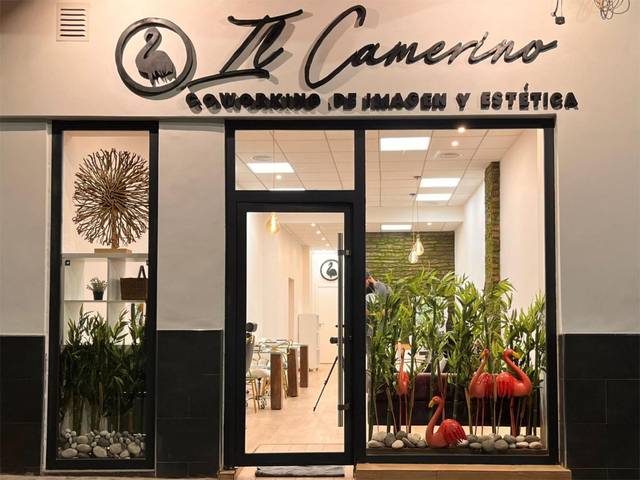 Local comercial en Alquiler en Calle Maestro Marqués, 18 en Mercado