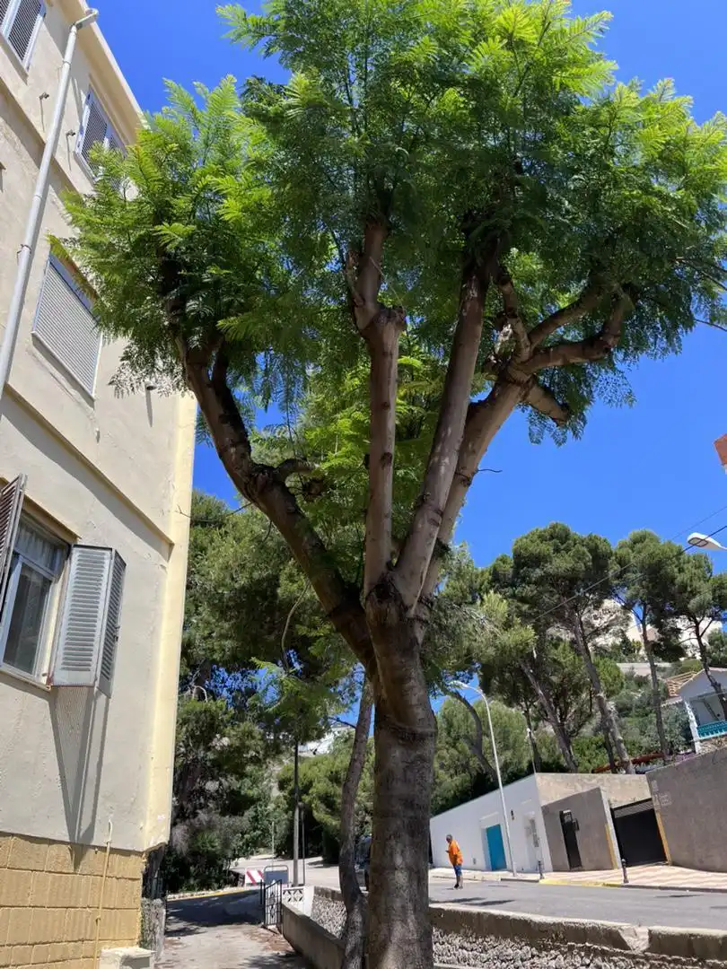 Vista exterior de Piso en venta en Cullera con Aire acondicionado, Jardín privado y Terraza