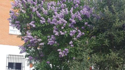 Piso en venta en Calle Cristo, 45, Novés, Toledo - imagen 3 Foto 3 de Piso en venta en Calle Cristo, 45, Novés, Toledo