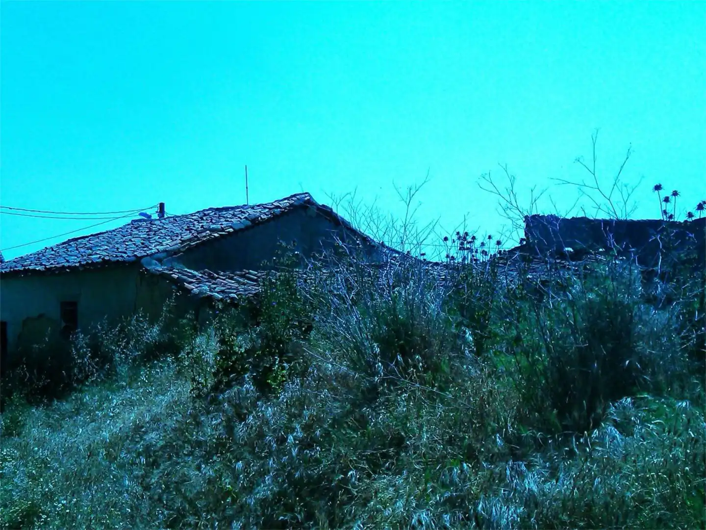 Vista exterior de Terreno en venta en Fuentesecas