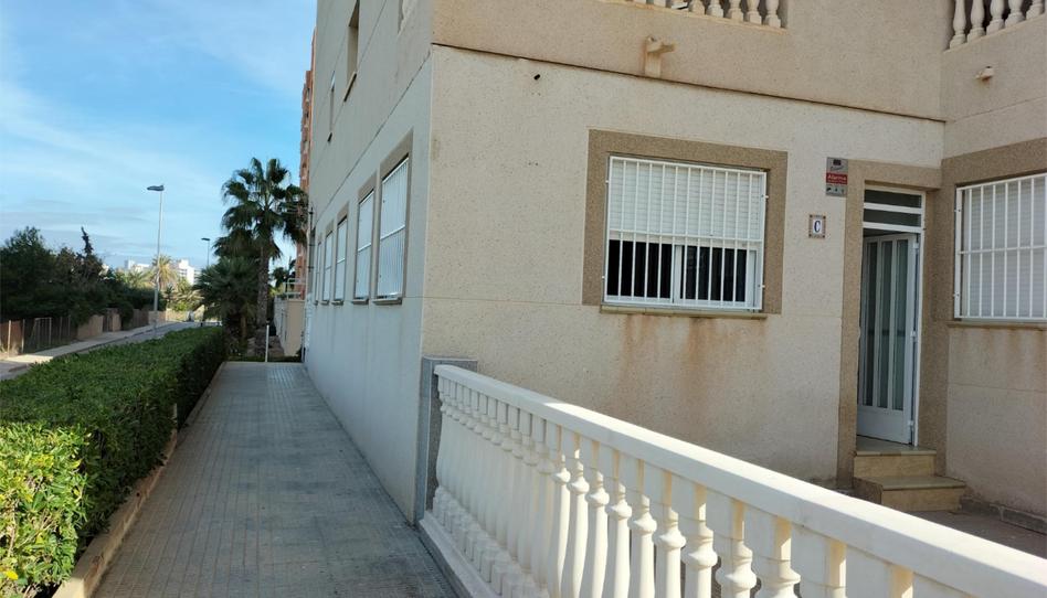 Planta baixa de lloguer a Urbanización Veneziola Golf, 41, Veneziola, Murcia - imatge 1 Foto 1 de Planta baixa de lloguer a Urbanización Veneziola Golf, 41, Veneziola, Murcia