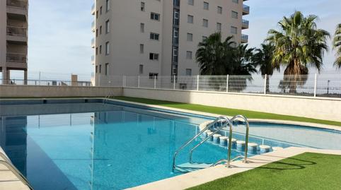 Planta baixa de lloguer a Urbanización Veneziola Golf, 41, Veneziola, Murcia - imatge 2 Foto 2 de Planta baixa de lloguer a Urbanización Veneziola Golf, 41, Veneziola, Murcia