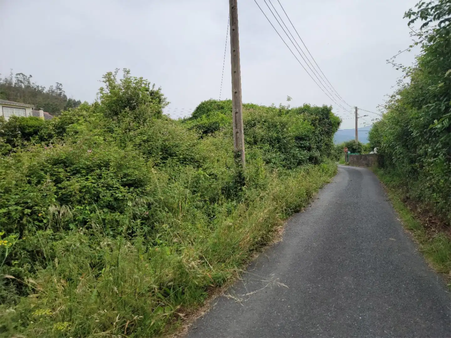 Land for sale in Ortigueira