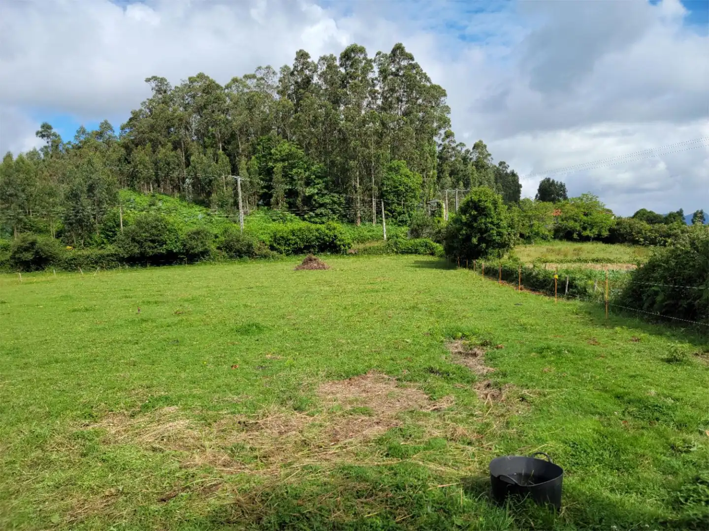 Land for sale in Ortigueira