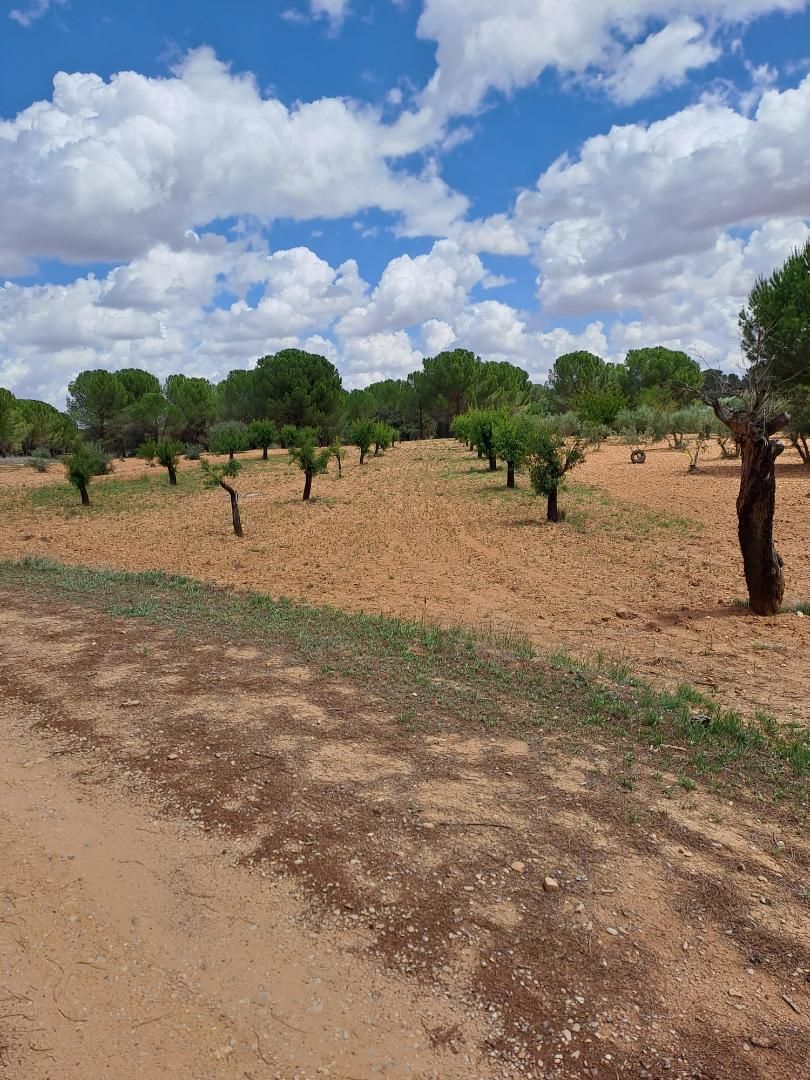 Land for sale in Fuensanta