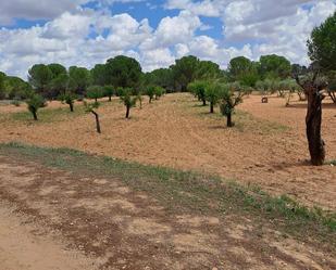 Grundstücke zum verkauf in Fuensanta