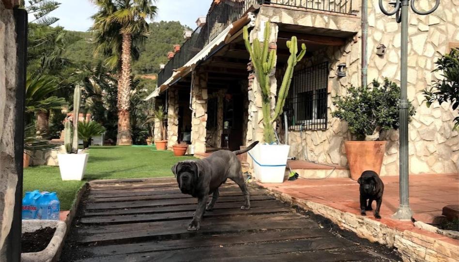 Foto 1 de Pis en venda a Setena Avinguda, 22, Torrelles de Llobregat, Barcelona