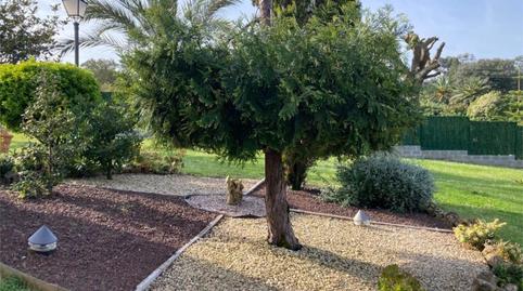 Photo 3 of House or chalet for sale in Calle el Arco, 4033, Palacio, Cantabria