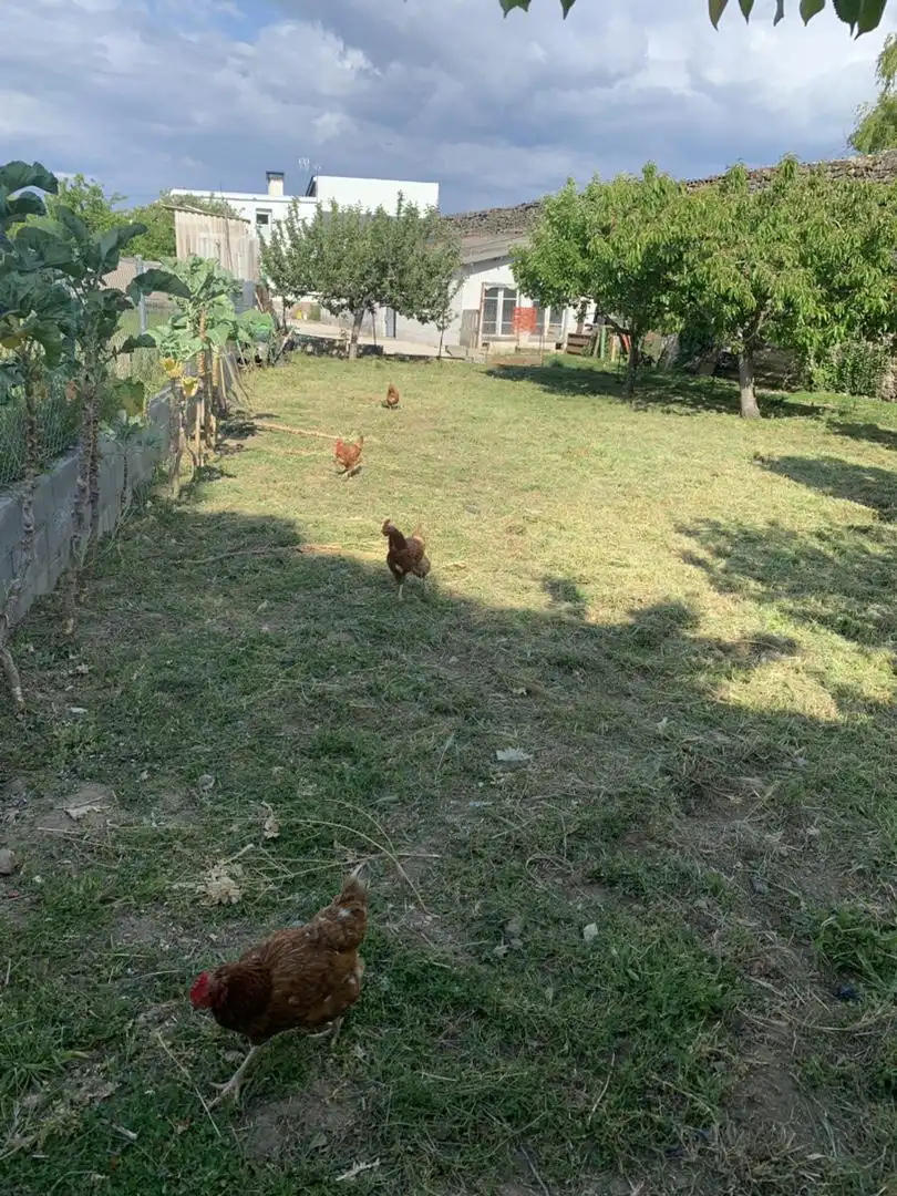 Casa o chalet en venta en Rua San Salvador, 9, A Pobra de Trives Casa o chalet en venta en A Pobra de Trives con Jardín privado, Trastero y Amueblado