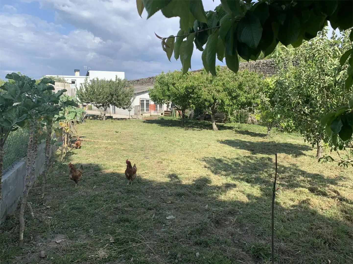 Casa o chalet en venta en Rua San Salvador, 9, A Pobra de Trives Casa o chalet en venta en A Pobra de Trives con Jardín privado, Trastero y Amueblado