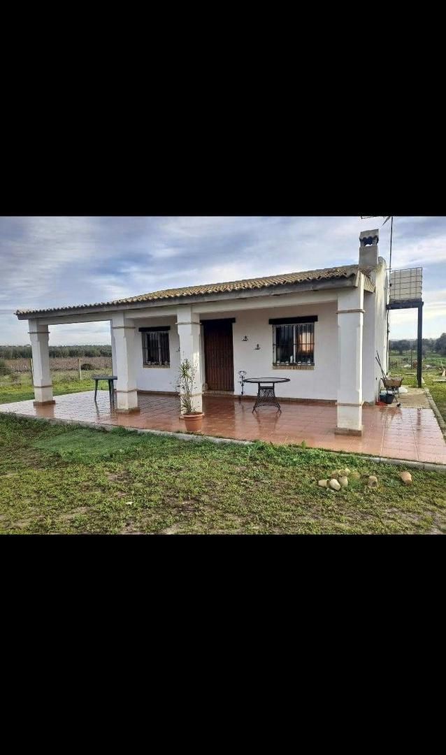 Vista exterior de Finca rústica en venda en Almonte amb Calefacció, Jardí privat i Terrassa