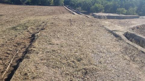 Finca rústica en venda a Partida Sedre, 10, Camino de Onda - Salesianos, Castellón - imatge 3 Foto 3 de Finca rústica en venda a Partida Sedre, 10, Camino de Onda - Salesianos, Castellón