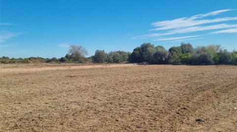 Finca rústica en venda a Partida Sedre, 10, Camino de Onda - Salesianos, Castellón - imatge 2 Foto 2 de Finca rústica en venda a Partida Sedre, 10, Camino de Onda - Salesianos, Castellón