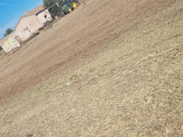 Finca rústica en Venta en Partida Sedre, 10 en Camino de Onda - Salesianos