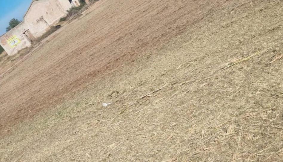 Finca rústica en venda a Partida Sedre, 10, Camino de Onda - Salesianos, Castellón - imatge 1 Foto 1 de Finca rústica en venda a Partida Sedre, 10, Camino de Onda - Salesianos, Castellón