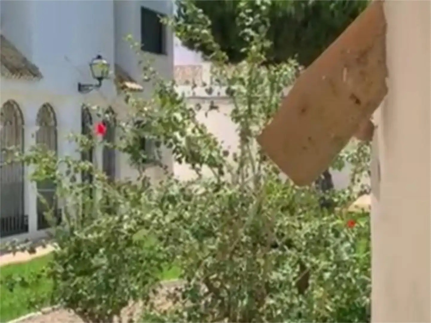 Maisonette zur Miete in Calle Simón de Rojas Clemente, 15, V Centenario - Piletas - Capuchinos Außenansicht von Maisonette zur Miete in Sanlúcar de Barrameda mit Privatgarten, Terrasse und Abstellraum