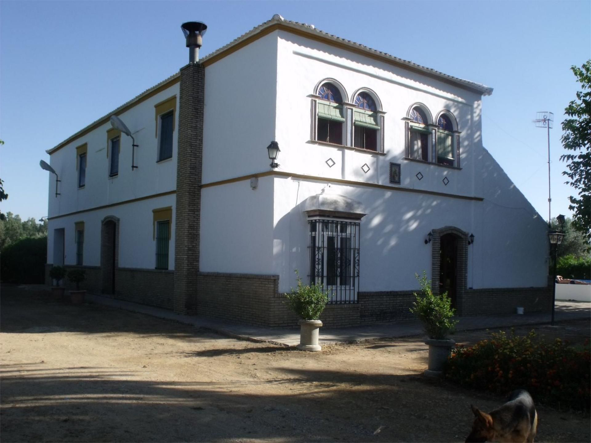 Vista exterior de Finca rústica en venda en Marchena