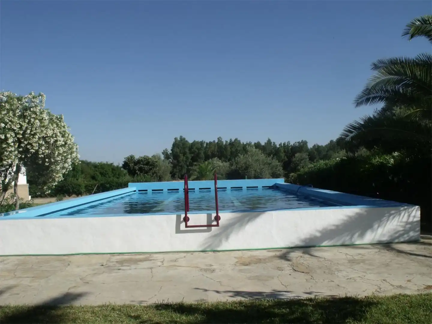 Finca rústica en venta en Diseminado Diseminados, 561, Marchena Piscina de Finca rústica en venta en Marchena