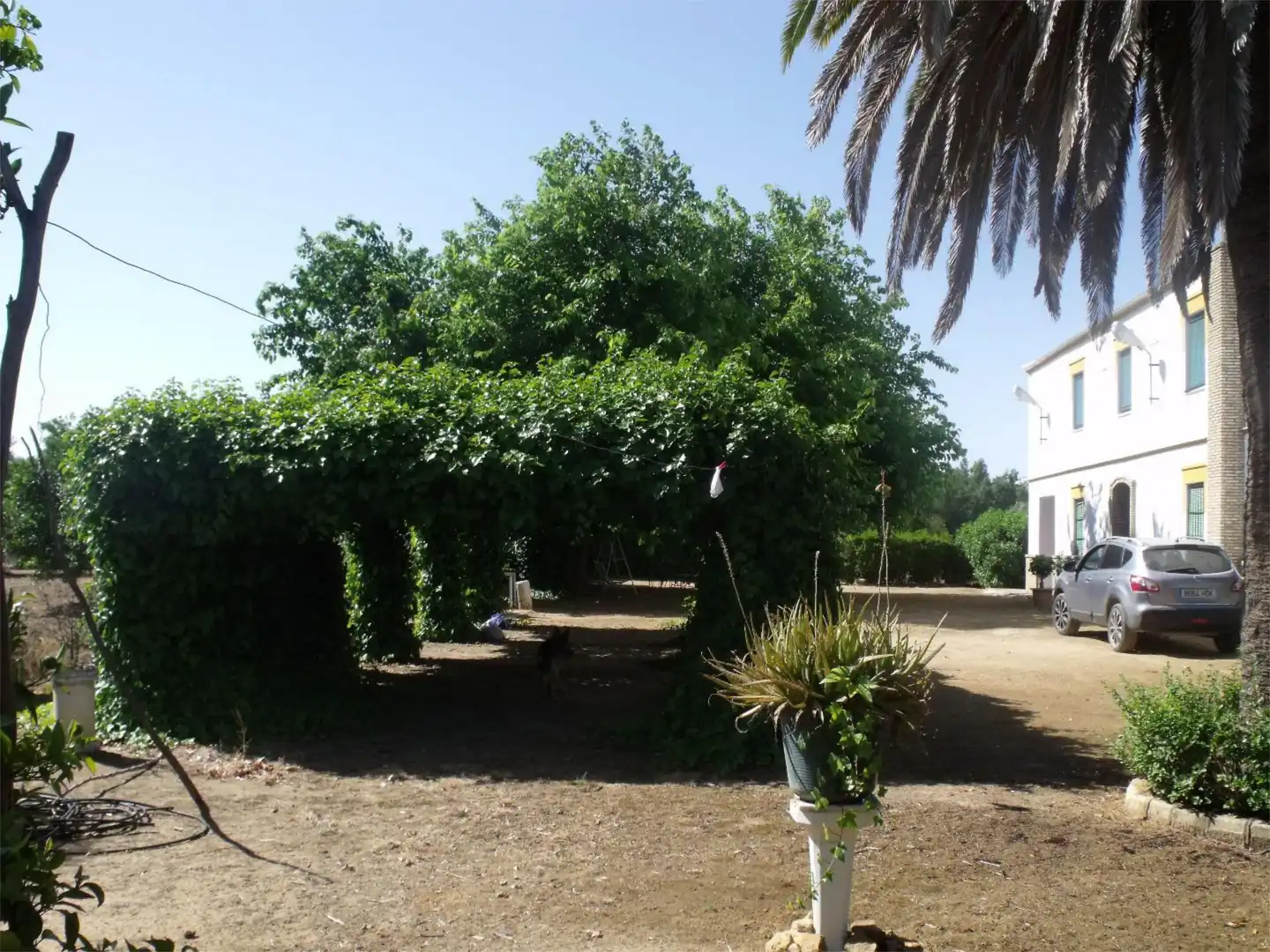 Finca rústica en venta en Diseminado Diseminados, 561, Marchena Jardín de Finca rústica en venta en Marchena