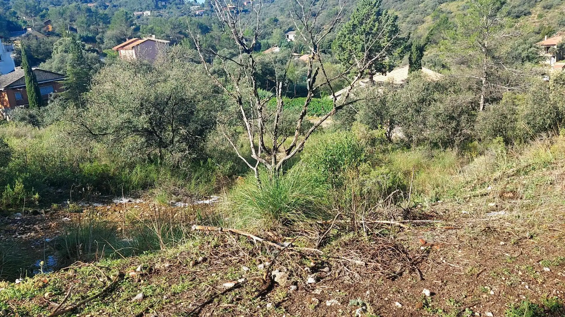 Casa o chalet en venta en Albalate de Zorita