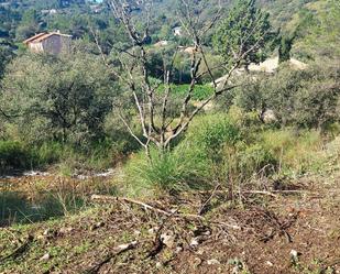 Casa o xalet en venda en Albalate de Zorita