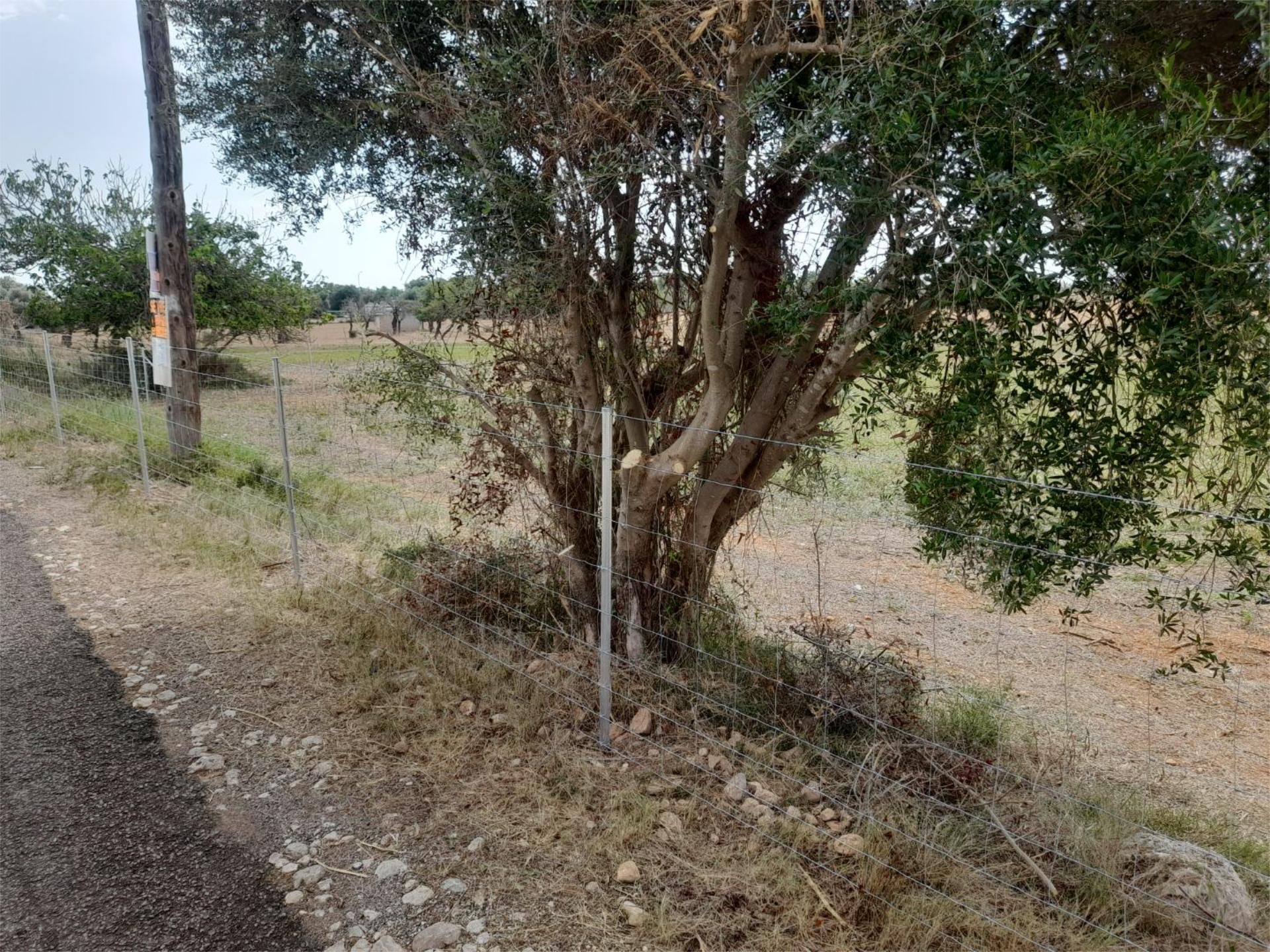 Land for sale in Inca