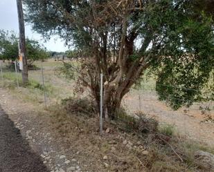 Land for sale in Inca