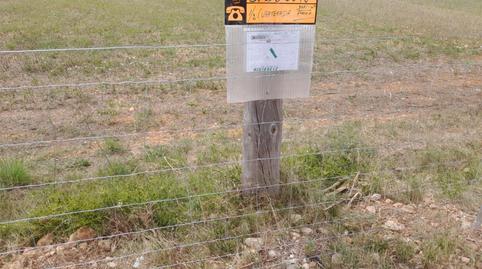 Photo 2 of Land for sale in Carretera Inca-sineu, 1500, Zona Periurbana, Inca