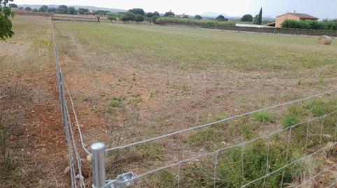 Photo 3 of Land for sale in Carretera Inca-sineu, 1500, Zona Periurbana, Inca