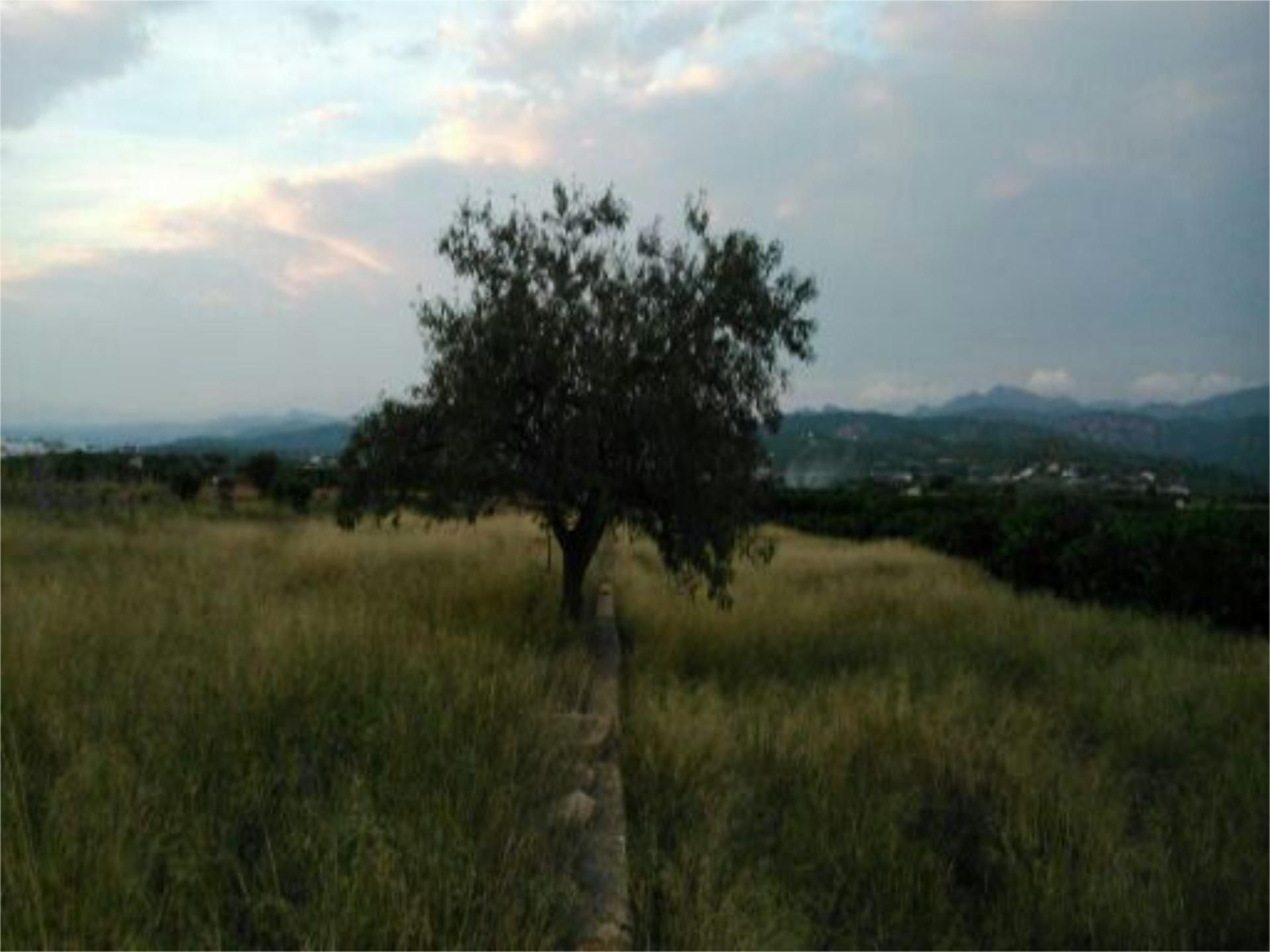 Land for sale in Marines