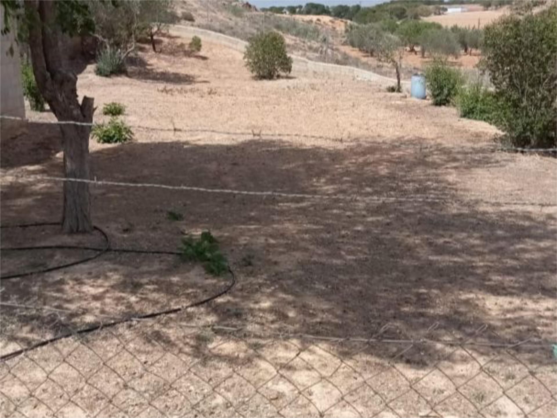 Terreno en venta en Cenizate