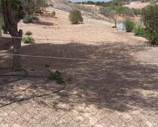 Land for sale in Cenizate