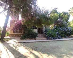 Garden of House or chalet for sale in Elche / Elx  with Terrace and Swimming Pool