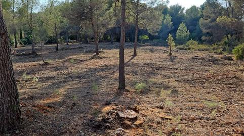 Photo 4 of Country house to rent in Urbanización Montes Palancia, 65c, Algar de Palància, Valencia