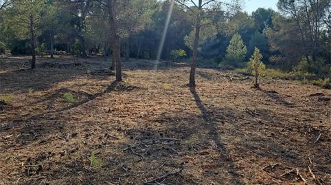 Photo 5 of Country house to rent in Urbanización Montes Palancia, 65c, Algar de Palància, Valencia