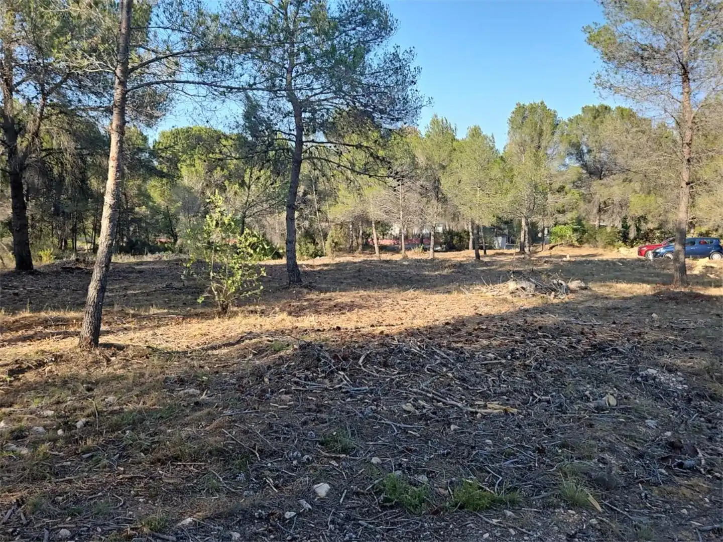 Finca rústica de alquiler en Algar de Palància