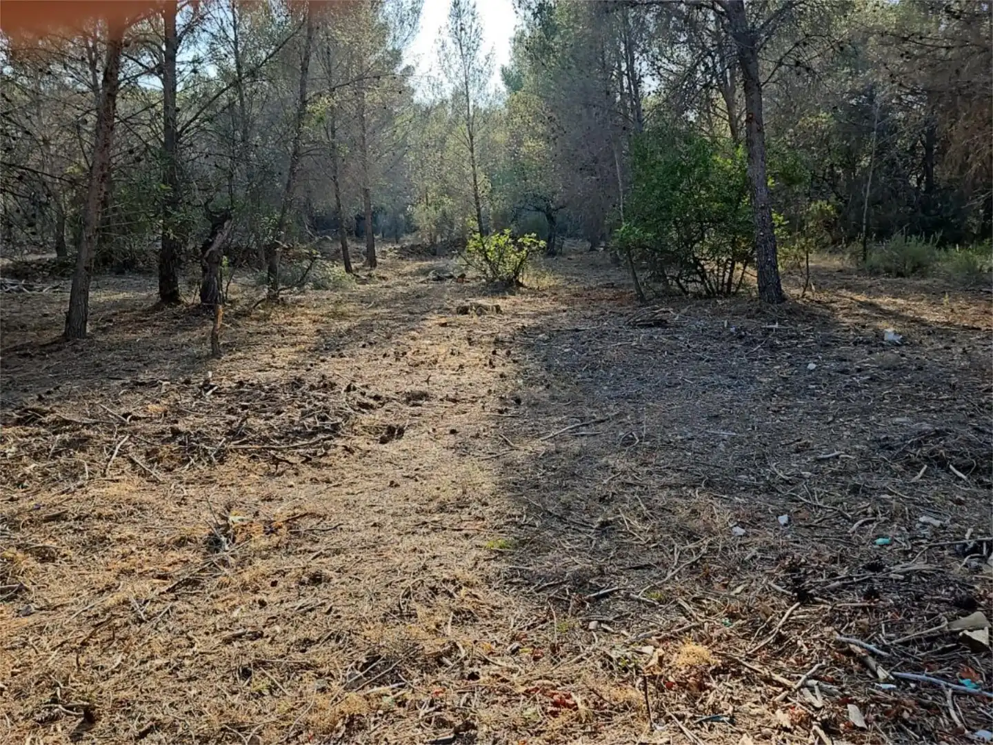 Finca rústica de alquiler en Algar de Palància