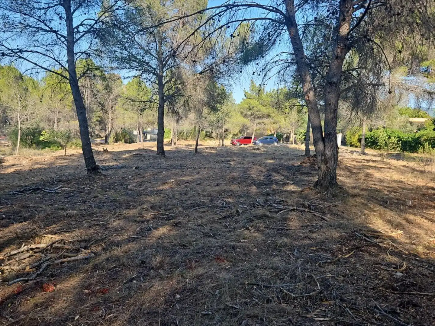 Finca rústica de alquiler en Algar de Palància