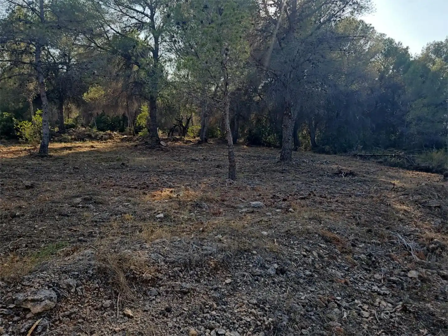 Finca rústica de alquiler en Algar de Palància