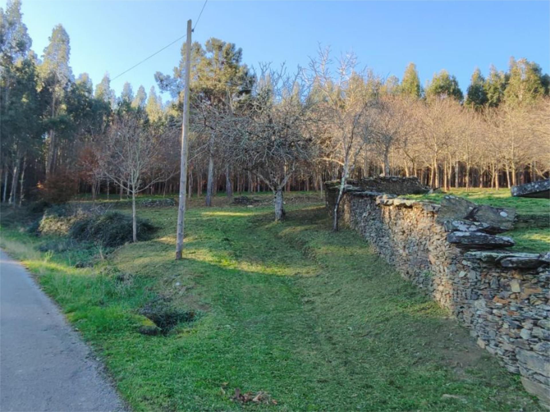 Garden of Land for sale in A Pontenova  