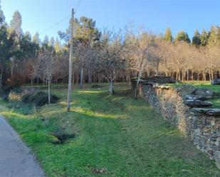 Jardí de Terreny en venda en A Pontenova  