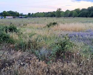 Finca rústica en venda en Fuente El Saz de Jarama