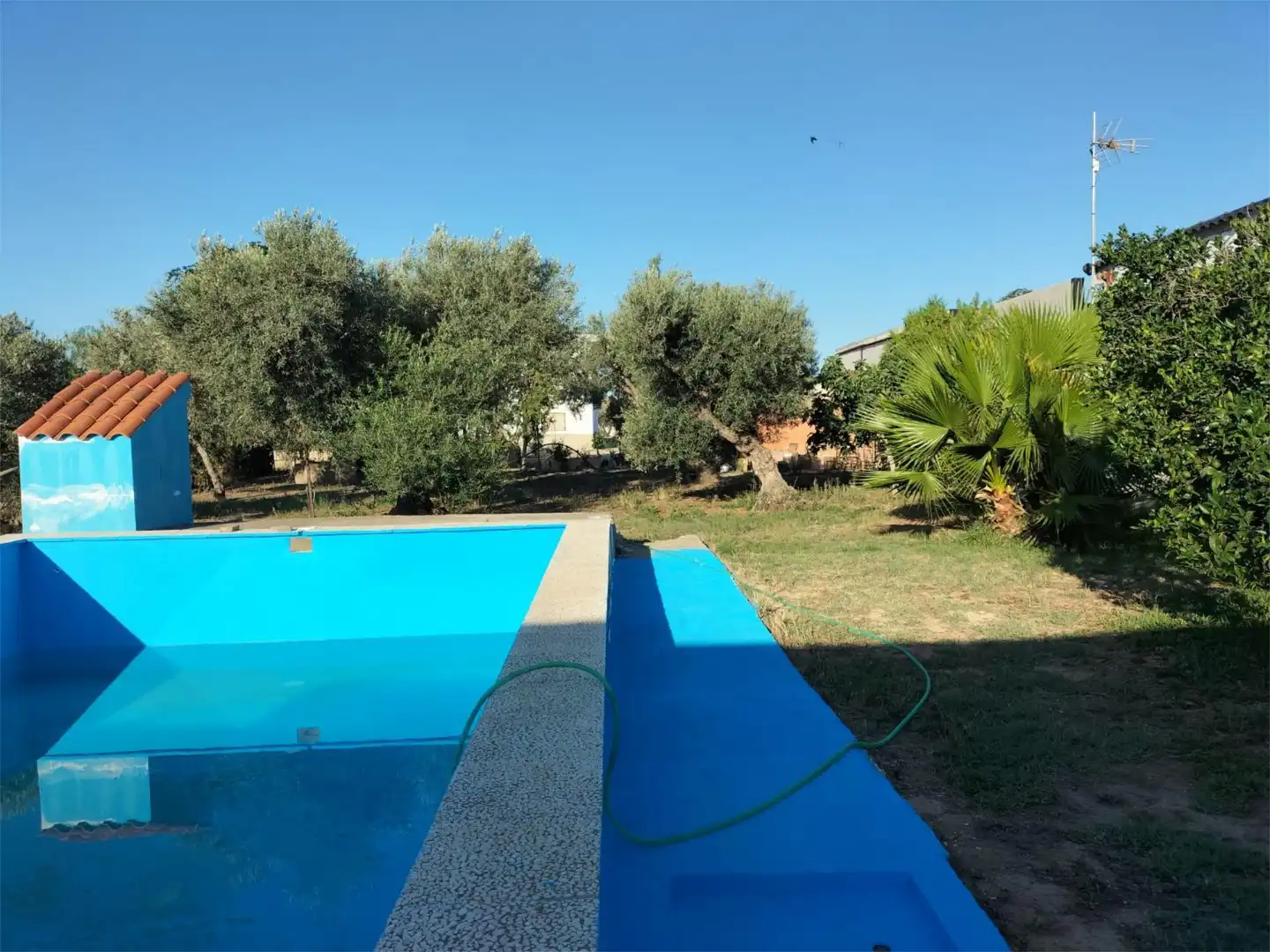 Piscina de Casa o chalet en venta en Utrera con Aire acondicionado, Terraza y Piscina