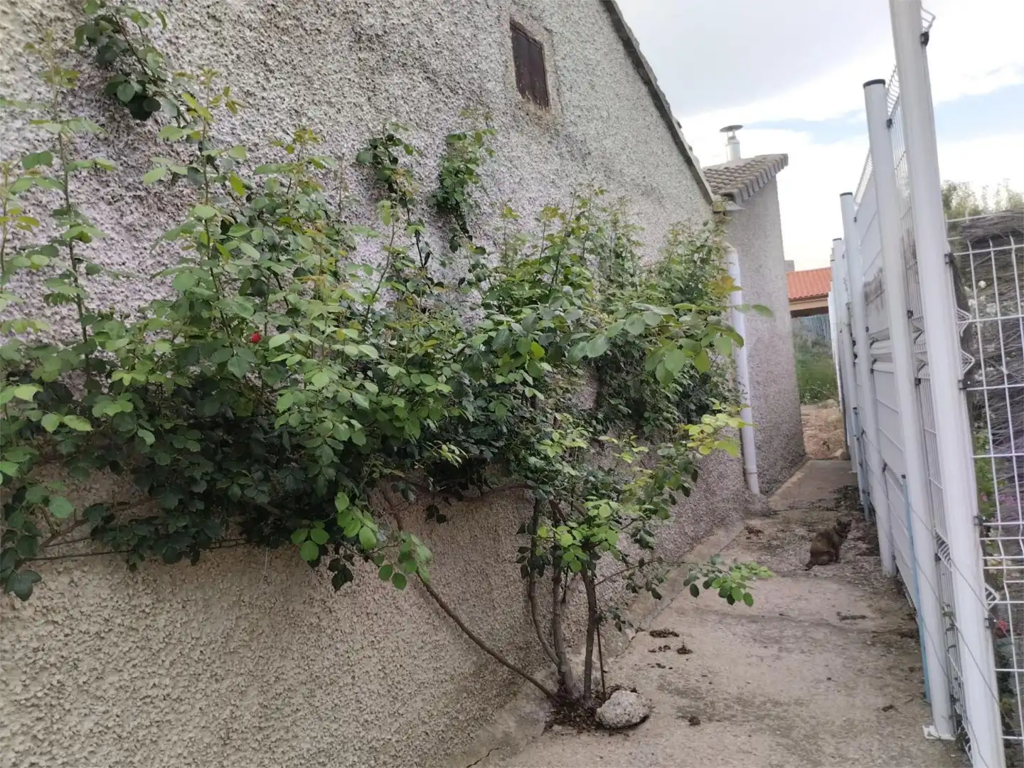 Piso en venta en Calle Calvario, 13, Bulbuente Piso en venta en Bulbuente