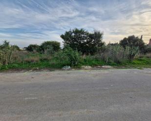 Finca rústica en venda en Chiclana de la Frontera