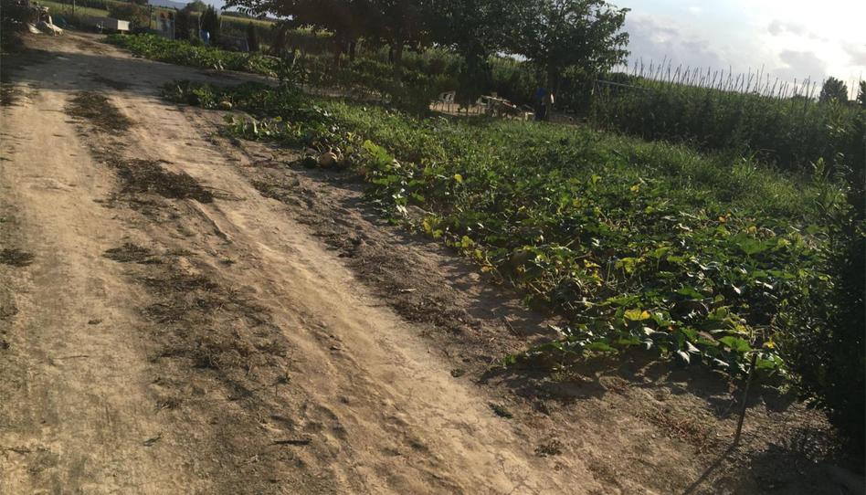 No Urbanitzable en venda a Carrer de la Cerdanya, 16, L'Estartit Poble, Girona - imatge 1 Foto 1 de No Urbanitzable en venda a Carrer de la Cerdanya, 16, L'Estartit Poble, Girona